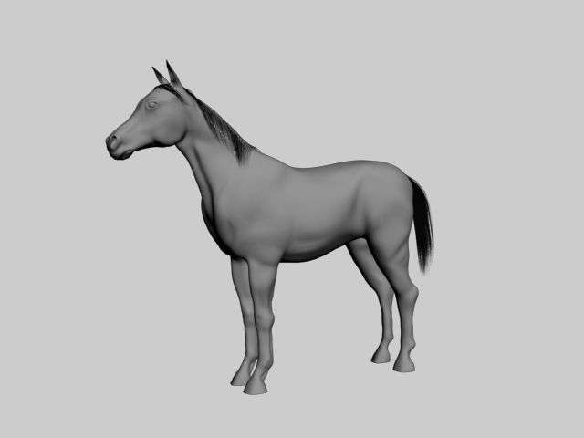 Pferd 3d model