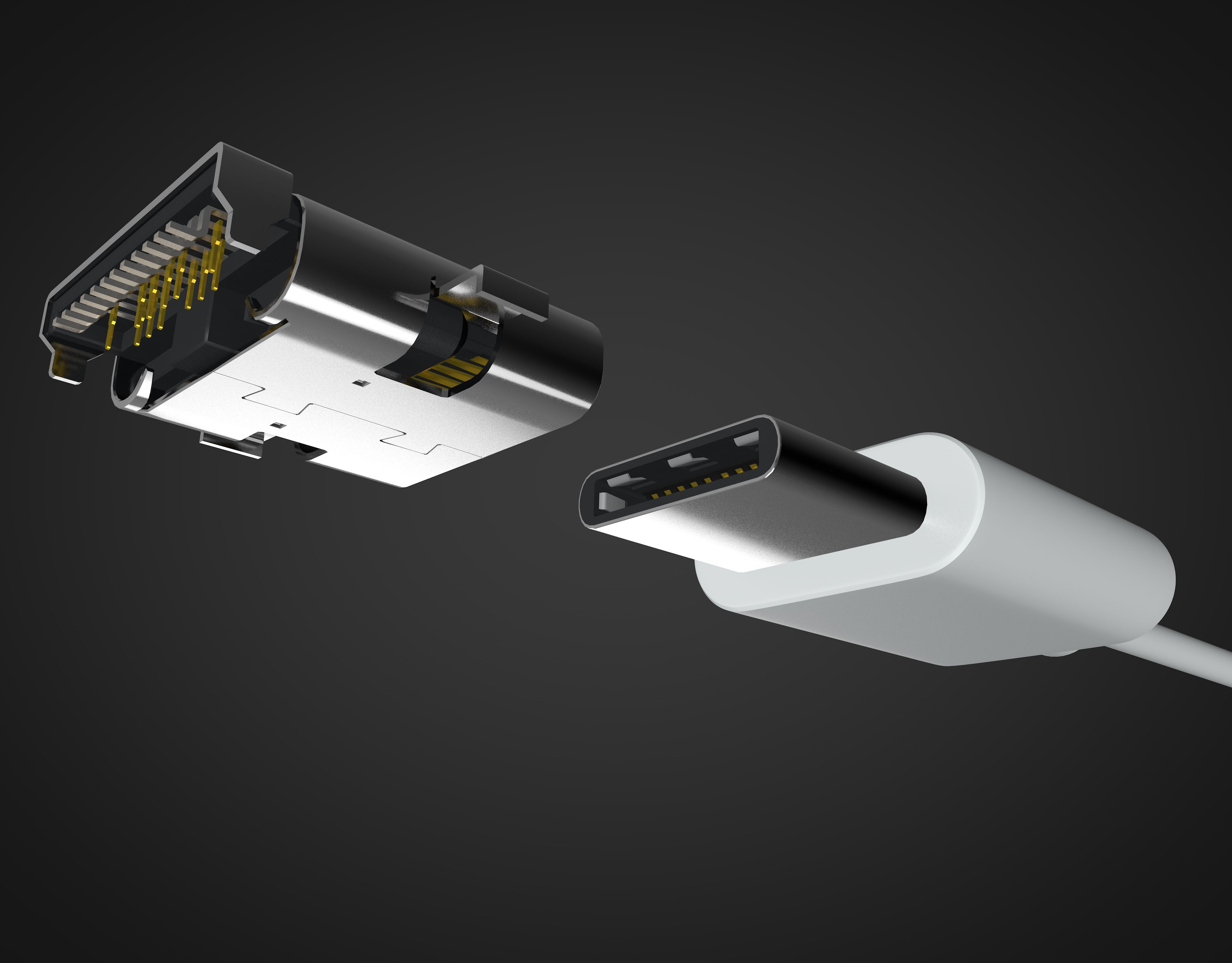 USB-Typ-C-Stecker und -Buchse 3d model