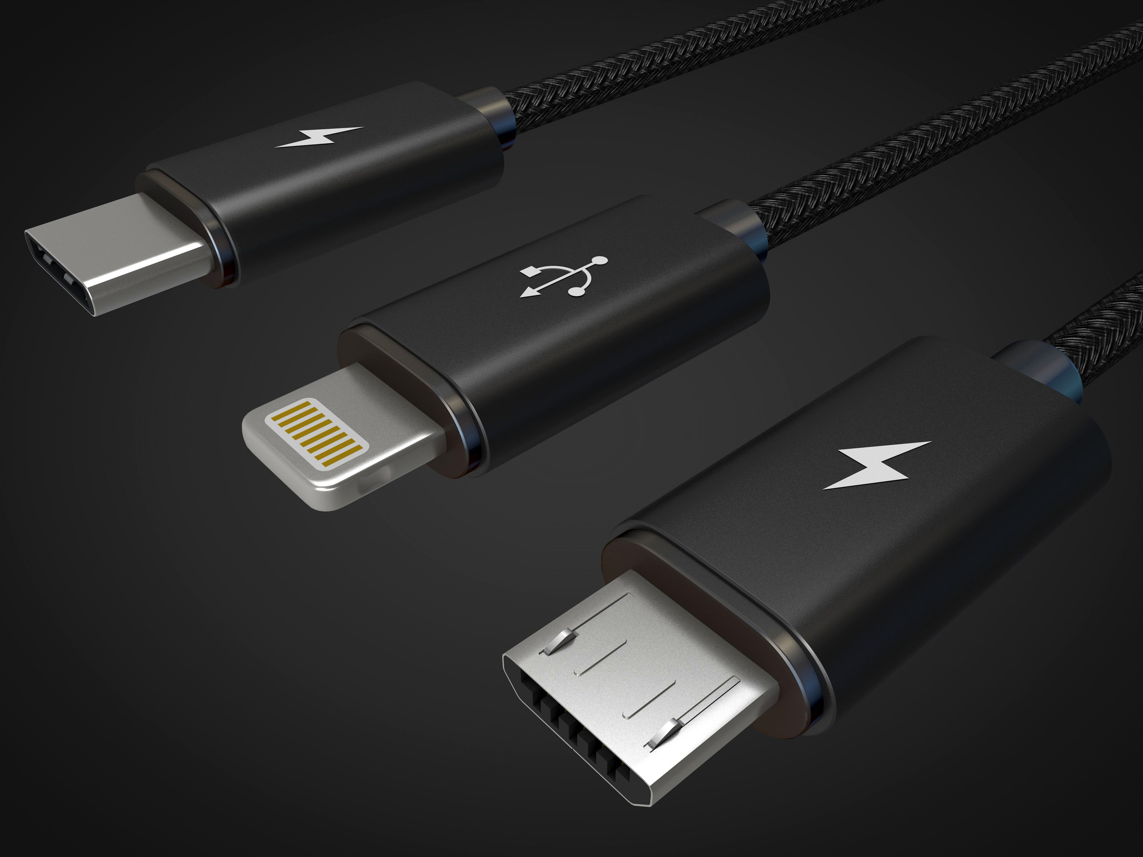 Micro USB Typ C und Blitz 3d model