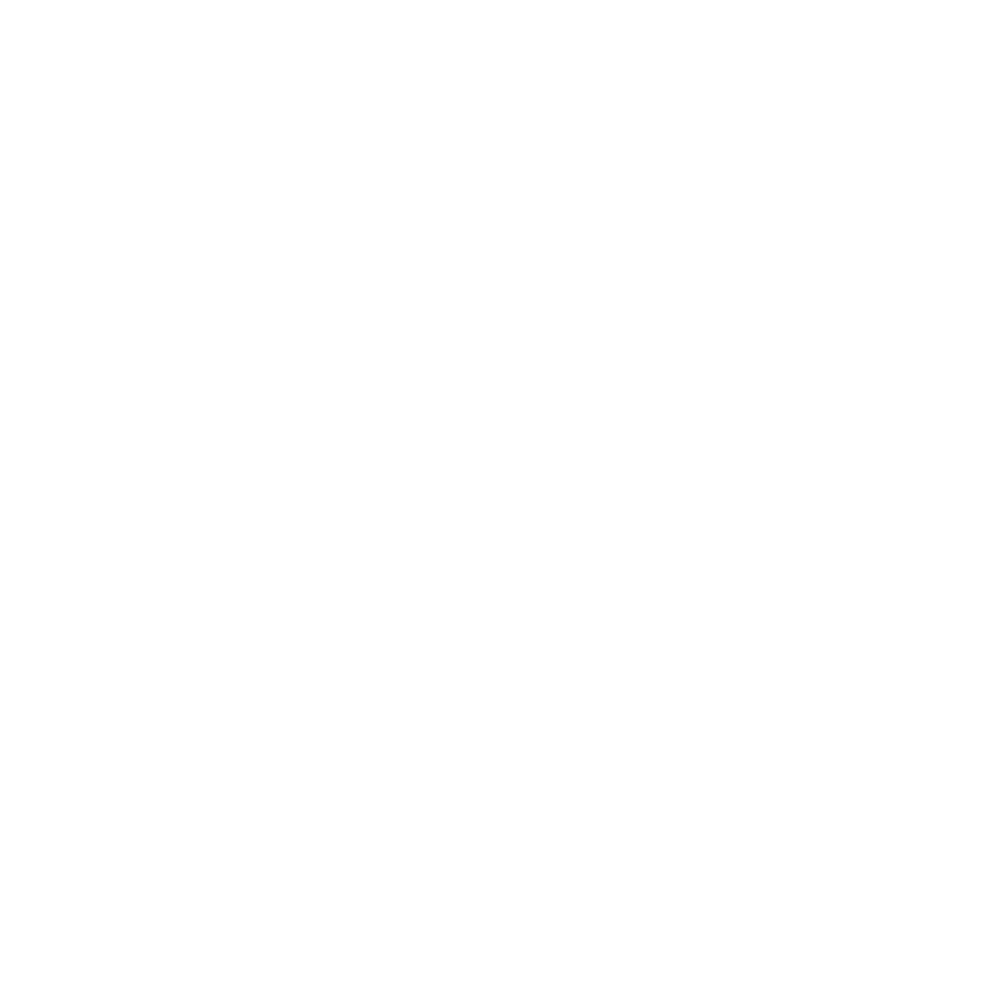 White Sylogist logo squiggle