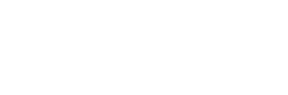 Sylogist logo in white