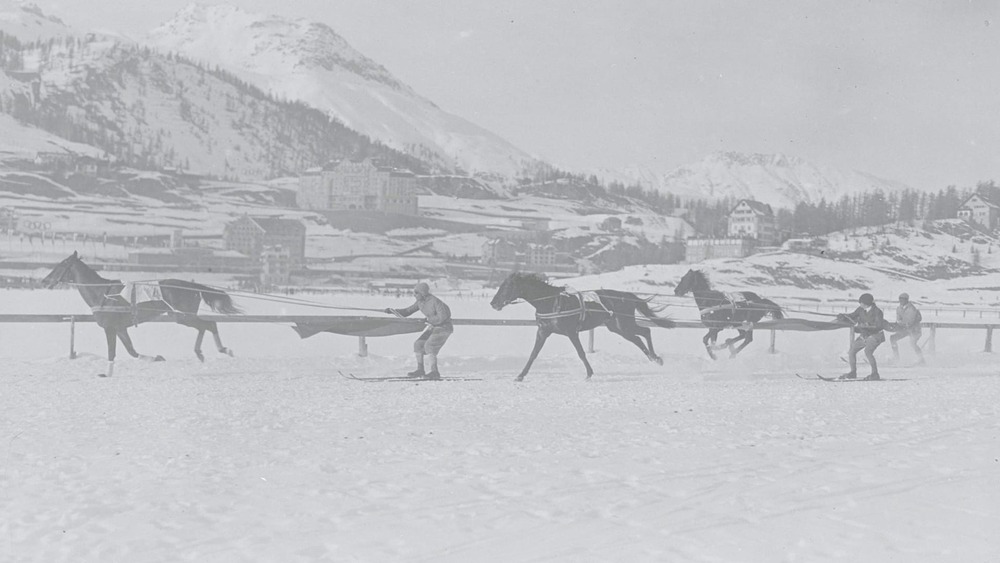 Skijoring Weird Winter Olympic Sports