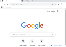 Google Chrome Portable screenshot