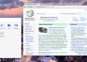 Chromium screenshot