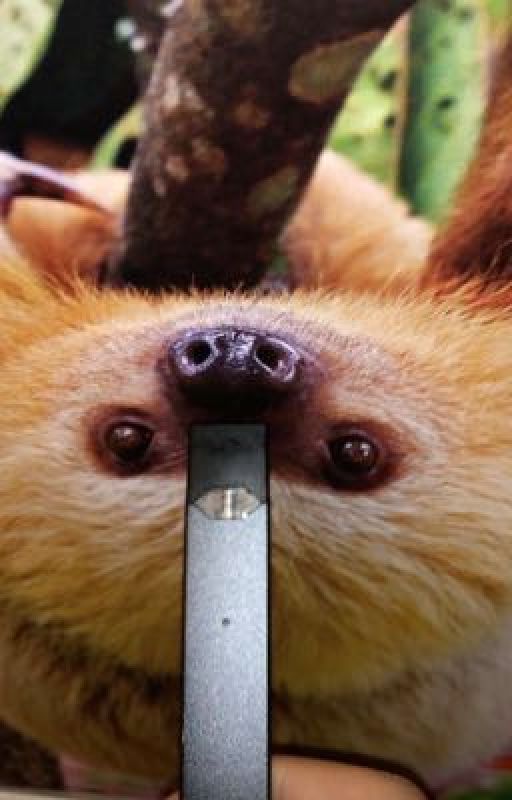 The sloth and the juul by reagannnnn123