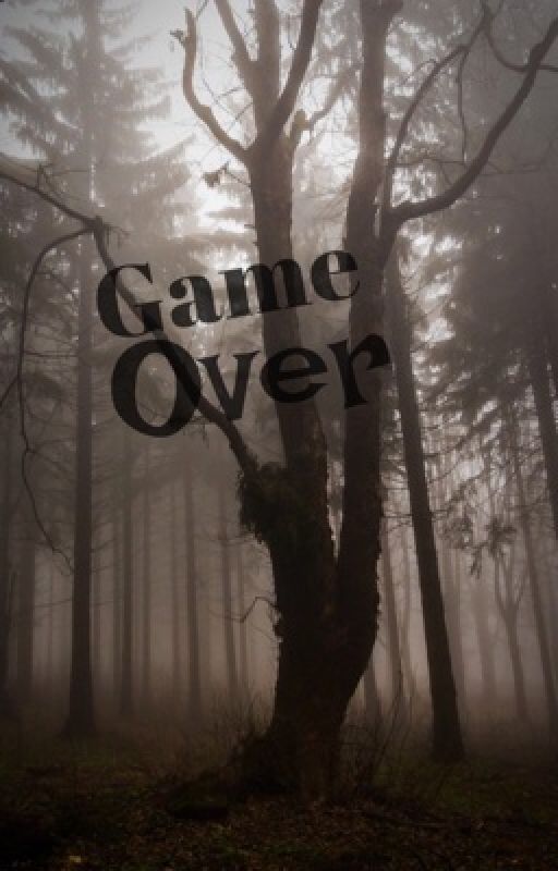 Game over by anonym28361