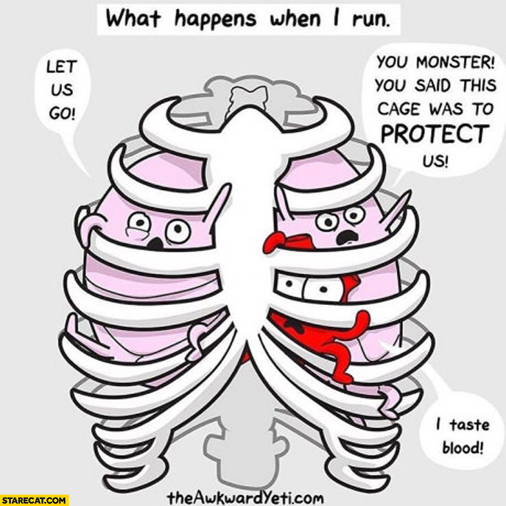 What happens when I run: lungs heart let us go you said ribs were to protect us