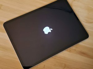 iPad Stuck on Apple Logo