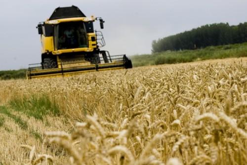 Was ist kommerzielle Landwirtschaft? »Seine Definition und Bedeutung 