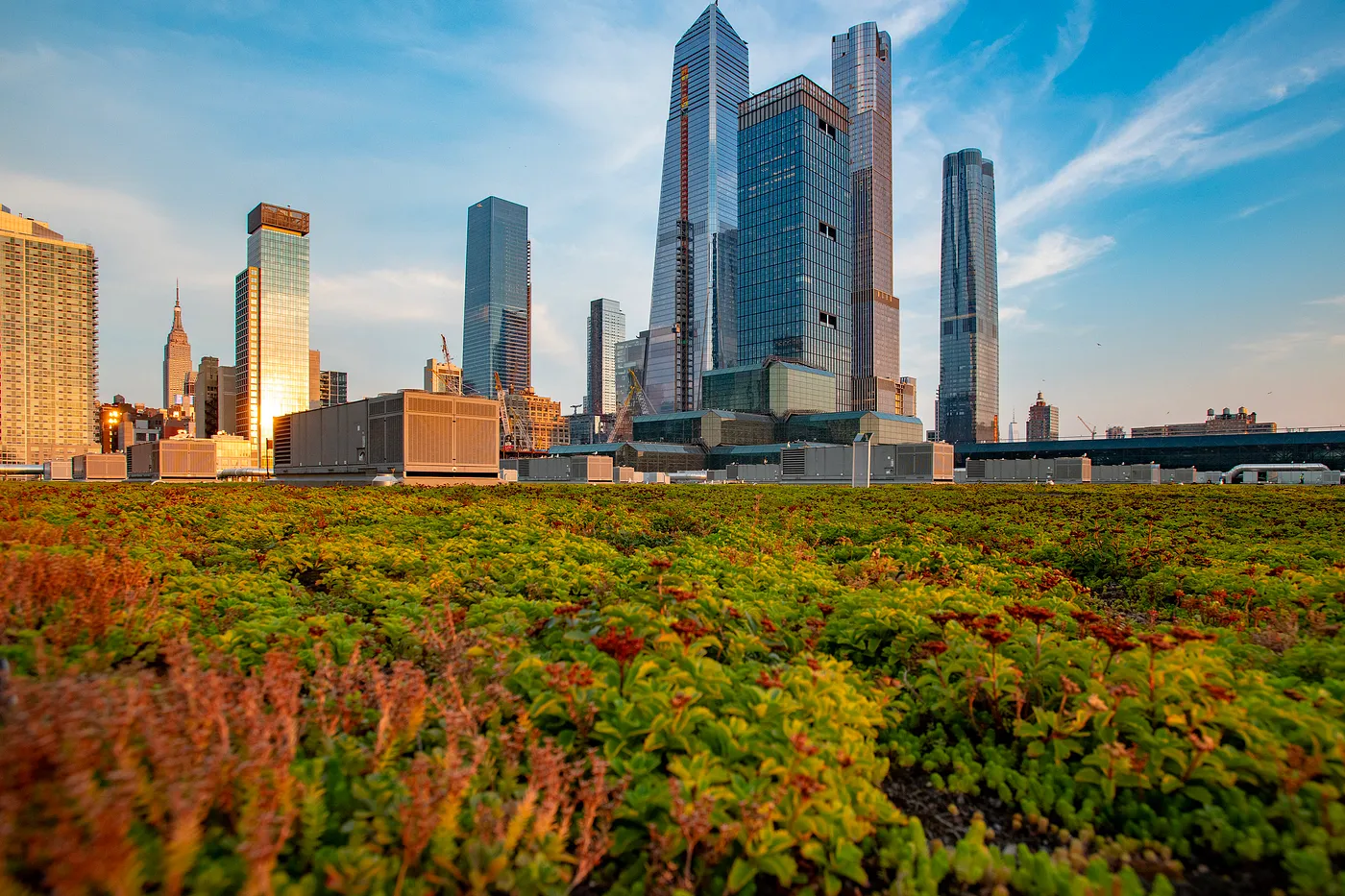 Green roof, Javits Center. Photo: Julienne Schaer (Source: NYC The Official Guide)