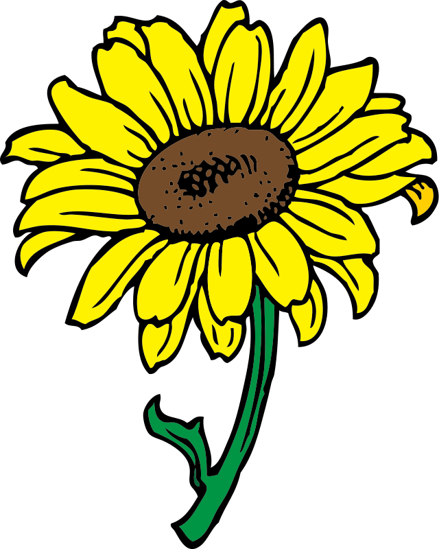 Sunflower  free bouquet of flower outline clip art free sunflower clipart