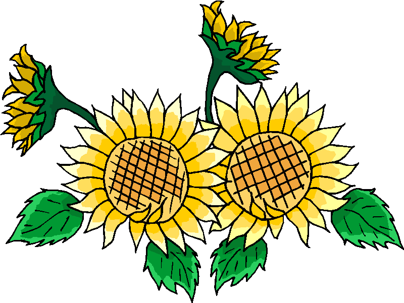 Sunflower  free cute clipart