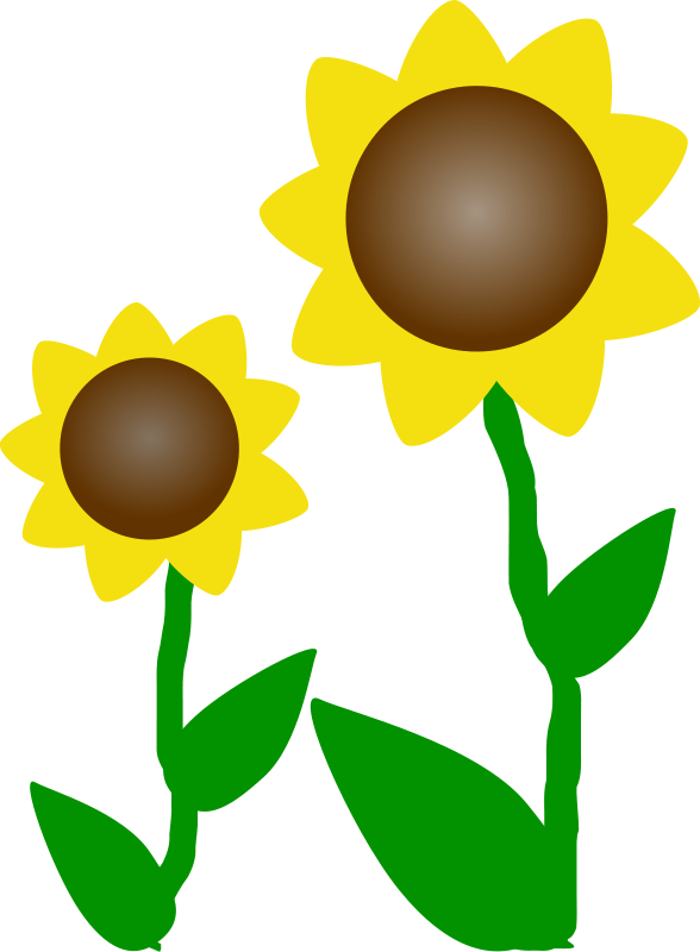 Sunflower  free free flowers images download clip art on