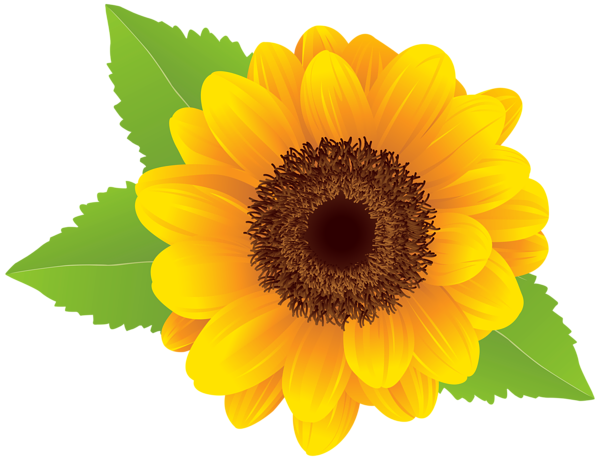 Sunflower  free sunflower clip art free printable clipart 3 2 clipartbarn