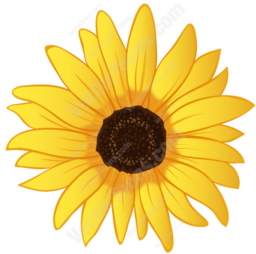 Sunflower  free sunflower graphics free download clip art on 2