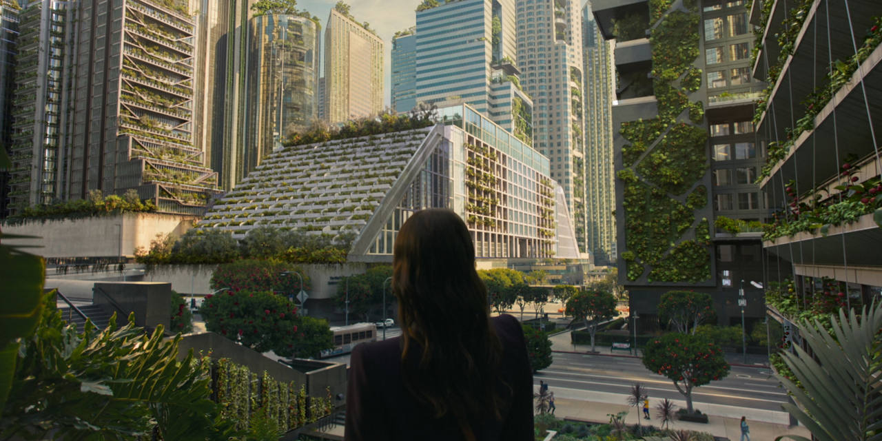 Woman overlooking landscape