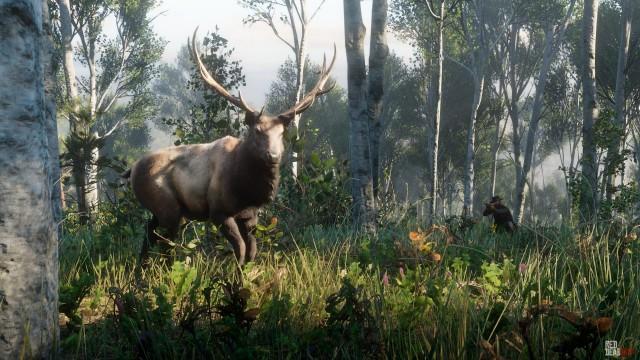 GTA 6 Animals Returning from RDR2