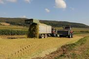 Abladen von Maissilage auf einer Feldmiete: Kein Sickersaft darf das Grundwasser verunreinigen.