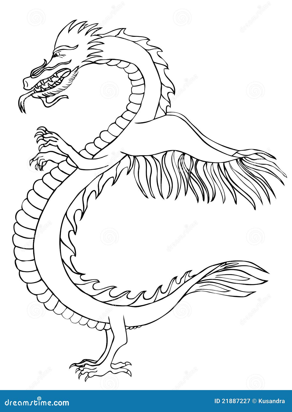 Stylized asian dragon stock vector. Illustration of contour - 21887227