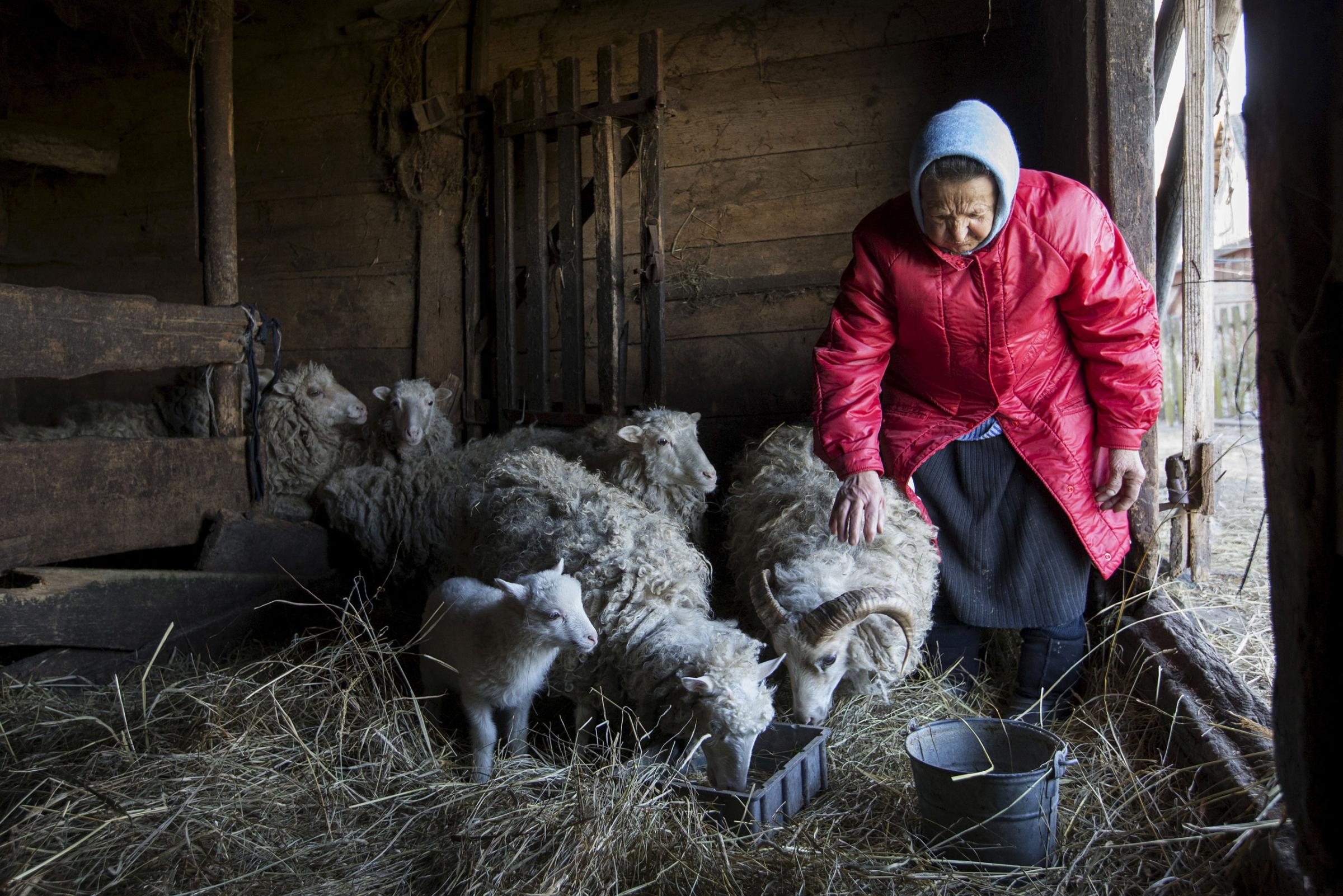 Nastia Pokolo lives in a remote village of Babinets