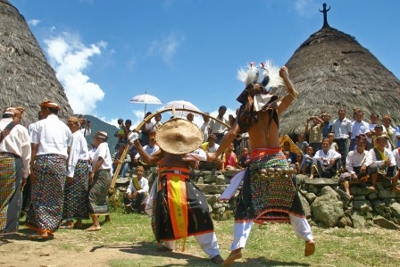 Caci in Penti Celebration