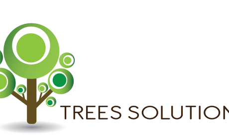 PT Trees Solutions