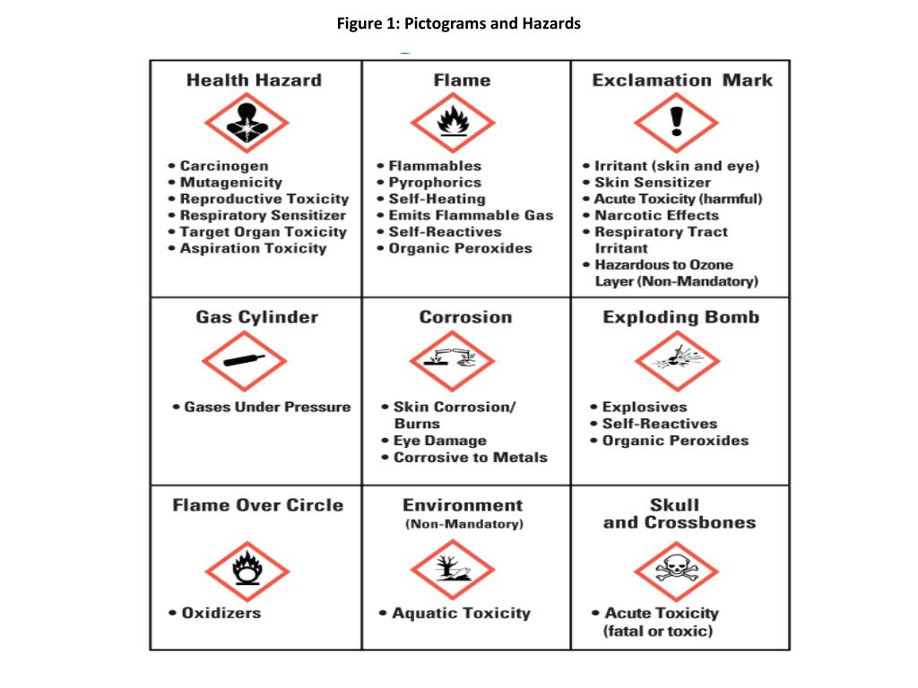 PPT - Pictograms: PowerPoint Presentation, free download - ID:6673458