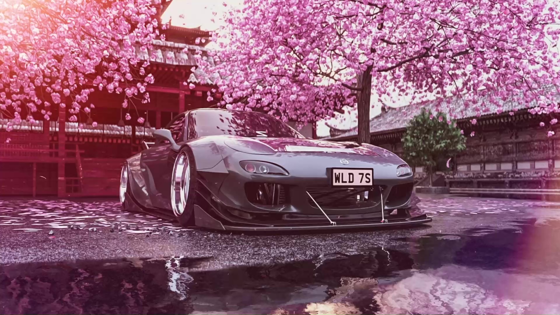 Jdm Wallpaper Pc 4k Cherry Blossom - IMAGESEE