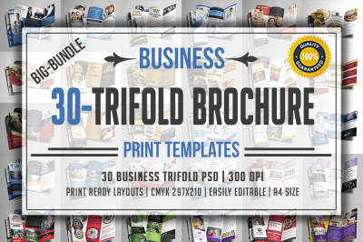 Trifold Brochure Bundle