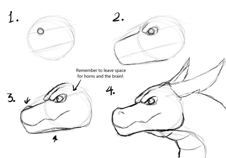 How to draw a dragon by Tallinax | Easy dragon drawings, Dragon sketch ...