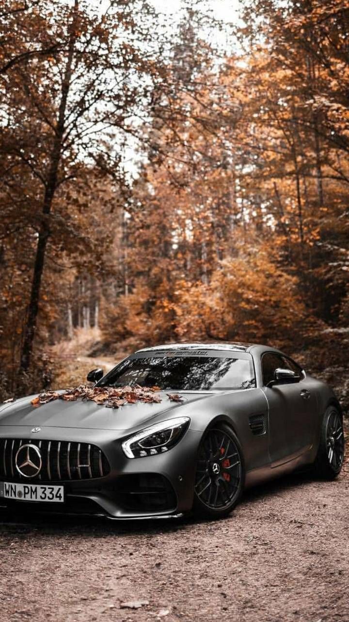 Download Autumn Amg Gt Wallpaper By Abdxllahm Ae Free On Zedge Now Browse Millions Of Popular M Mercedes Wallpaper Mercedes Benz Wallpaper Car Wallpapers