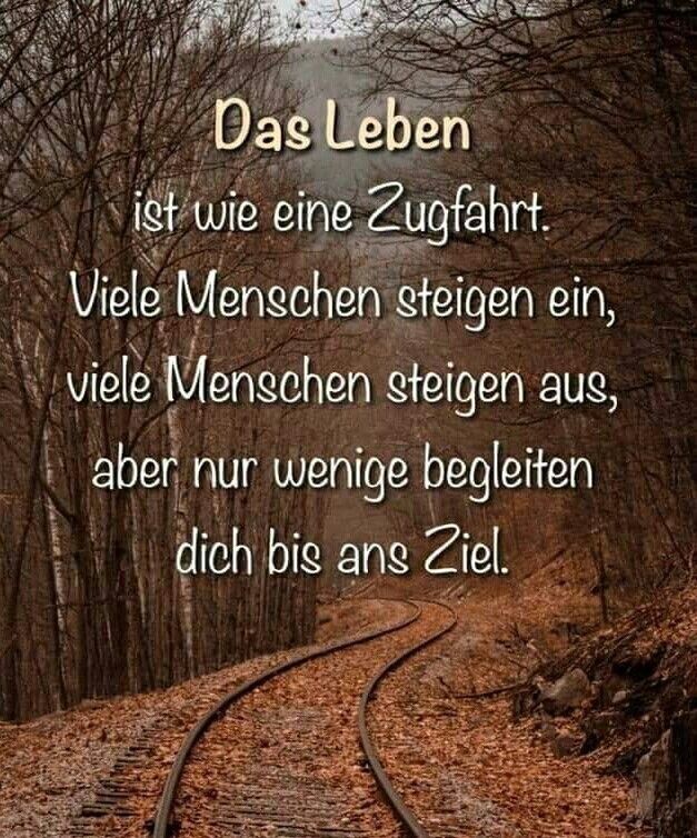 Das Leben Ist Wie Eine Zugfahrt Viele Menschen Steigen Ein Viele Menschen Steigen Aus Aber Nur Wenige Begleiten Dic Rap Zitate Deutsch Spruche Zitate Zitate