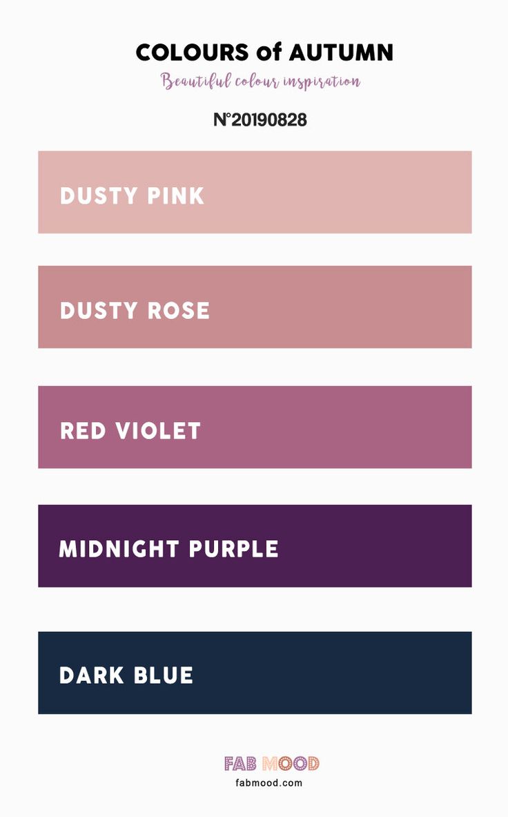 Autumn Color 2019 { Dusty Pink + Dusty Rose + Red Violet + Dark Blue +  Midnight Purple }