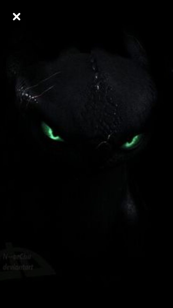 the green eyes of an evil looking cat in the dark, with black skin and fur