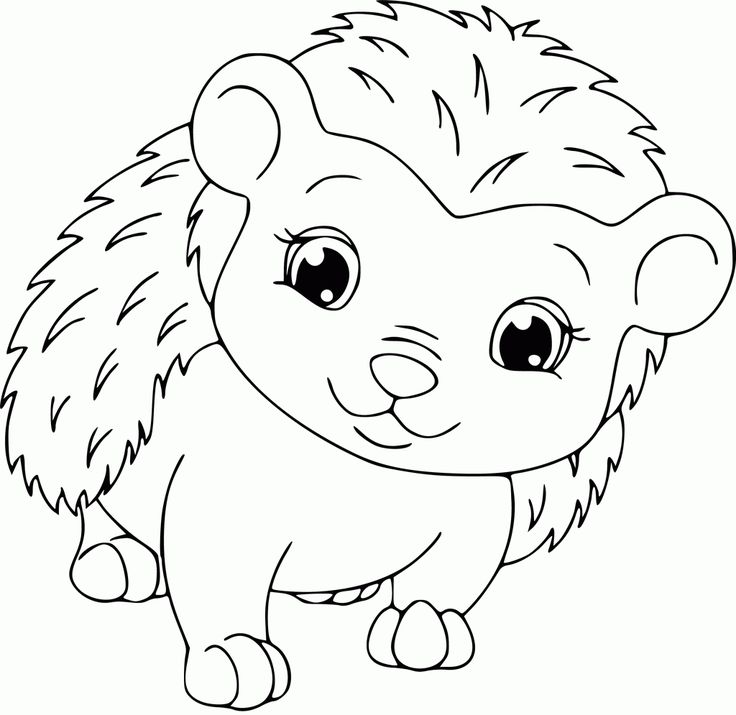 Hedgehog Coloring Pages - Best Coloring Pages For Kids | Hedgehog ...