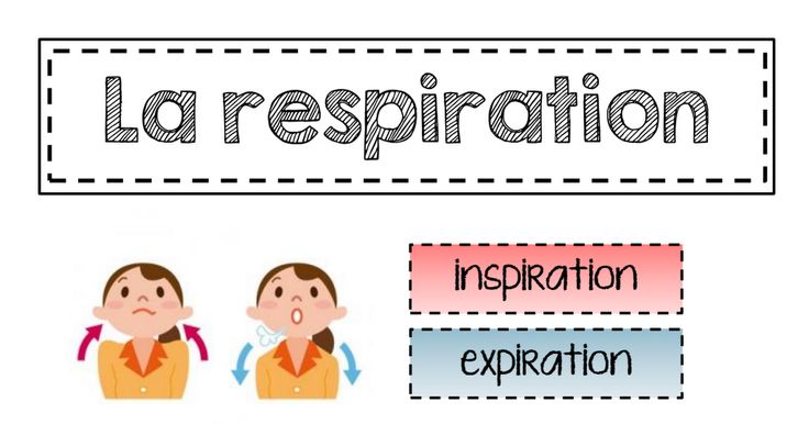 respiration CI.pdf | Jeu educatif, Enseignement, Science