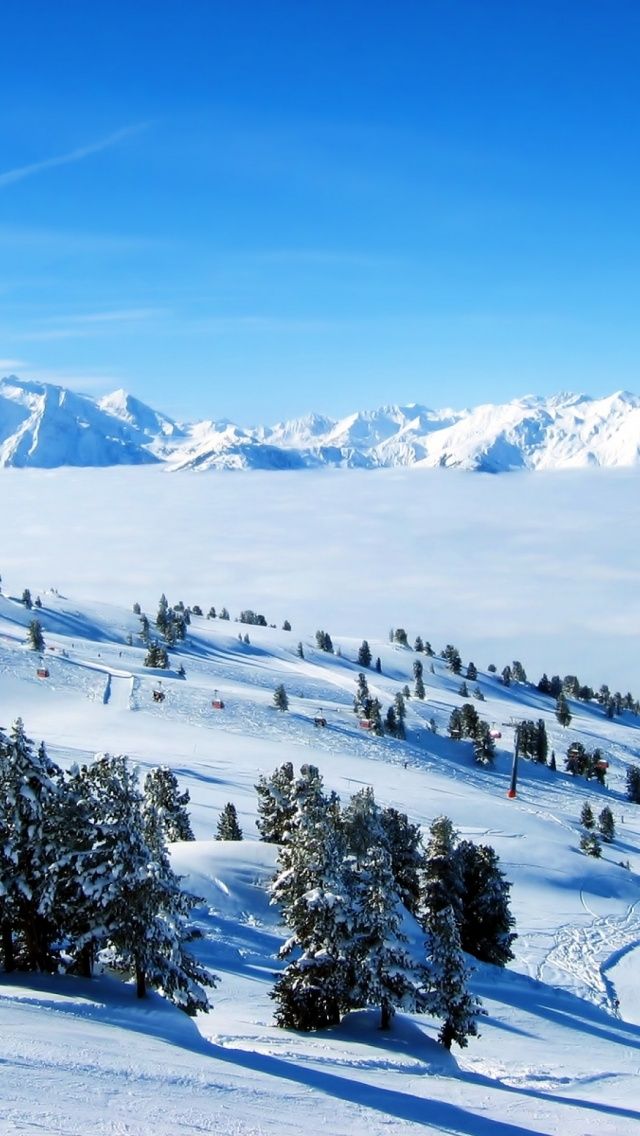 Mountains Snow Trees & Ski