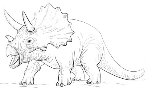 Triceratop dinosaur Coloring page | Dinosaur coloring pages, Dinosaur ...