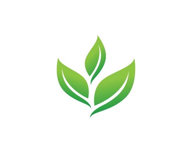 Green leaf logo vector | Hojas verdes, Logotipo de hoja, Hojas vector