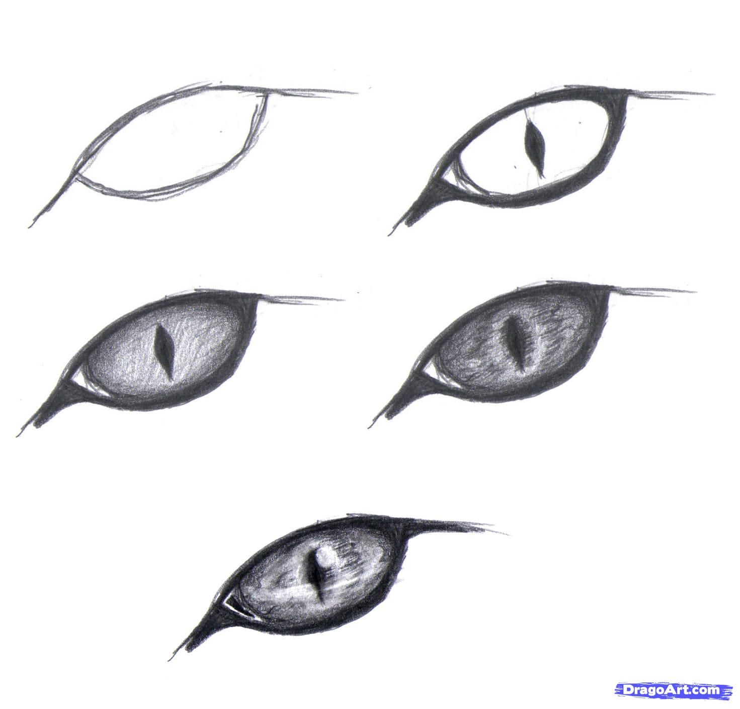 Cat Eyes Drawing, Dragon Eye Drawing, Realistic Eye Drawing, Draw Eyes ...