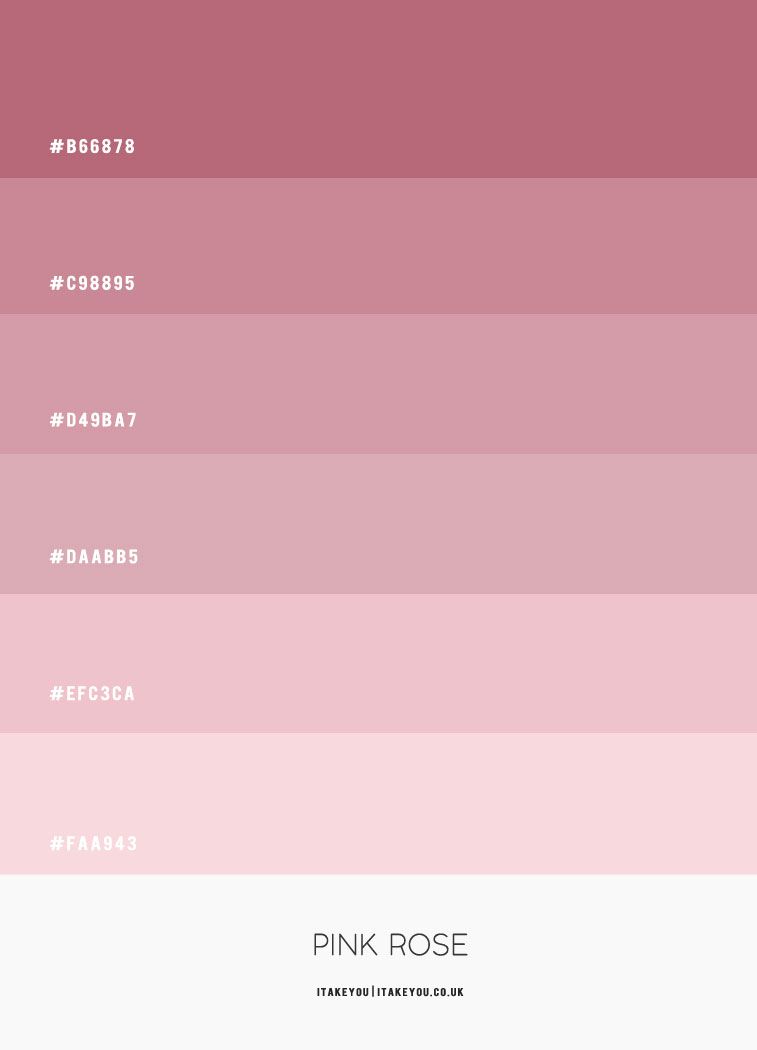 Pink Rose Colour Scheme #Colour Palette 67