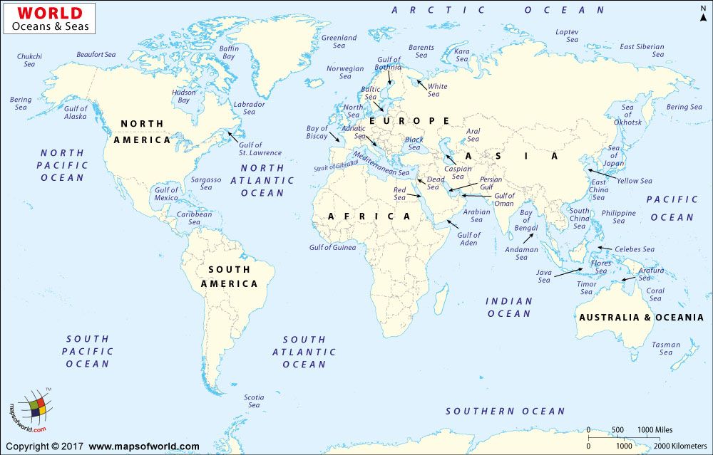 Map of World Ocean Major Oceans, All Oceans, Oceans Of The World, All ...