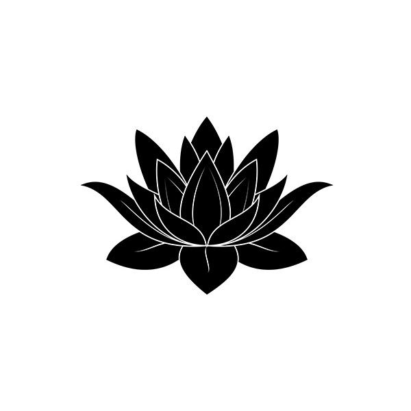 Vector image of Lotus flower vector, includes water, nature, abstract ...