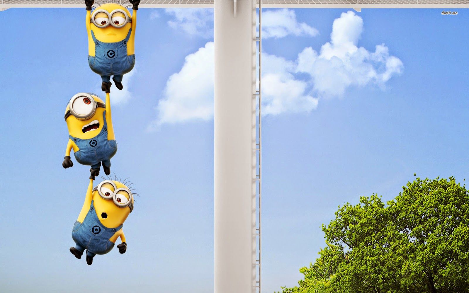 El top 48 fondos de minions