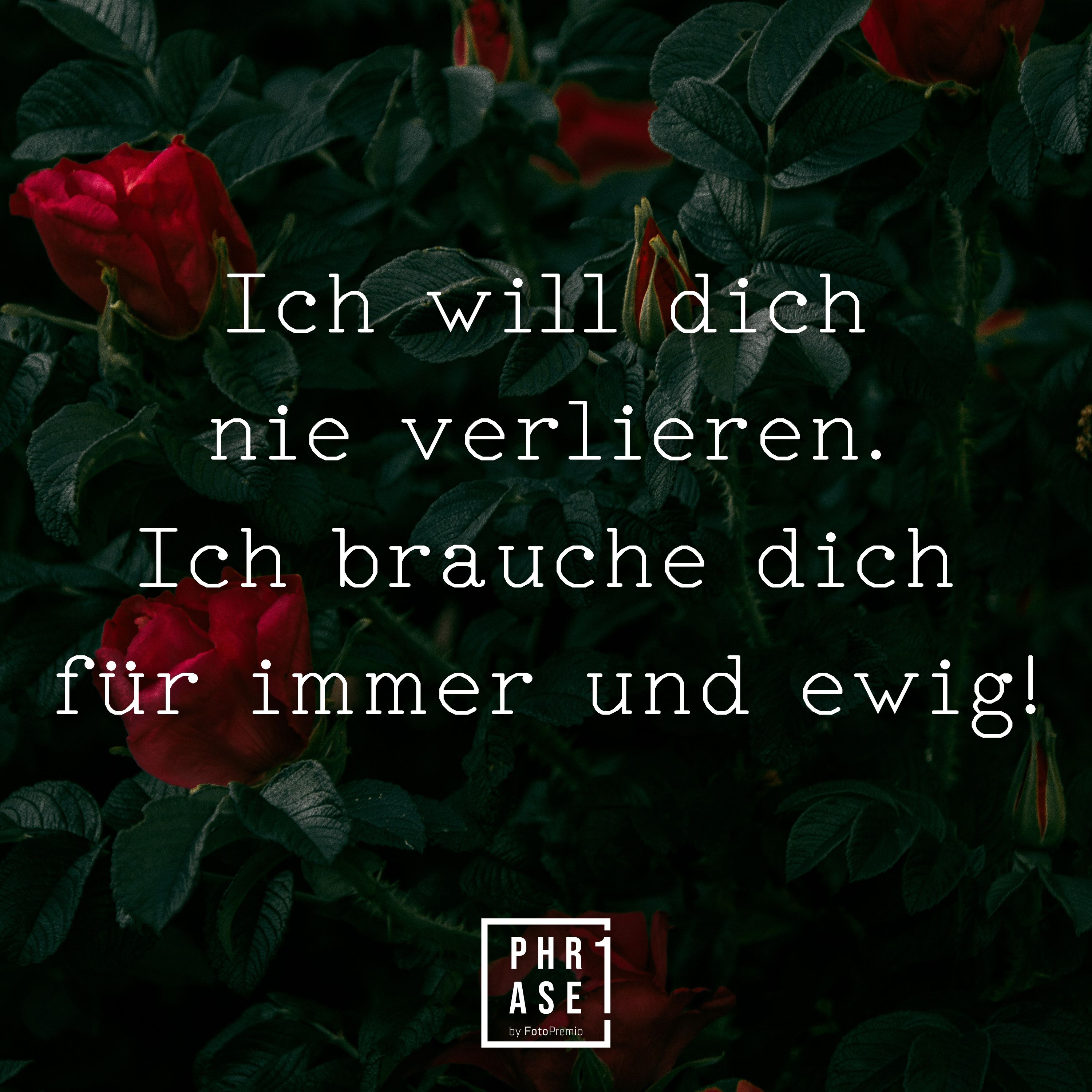 Ich Will Dich Nie Verlieren Ich Brauche Dich Fur Immer Und Ewig Romantik Zitate Zitate Liebe Hochzeit Liebe Dich Fur Immer