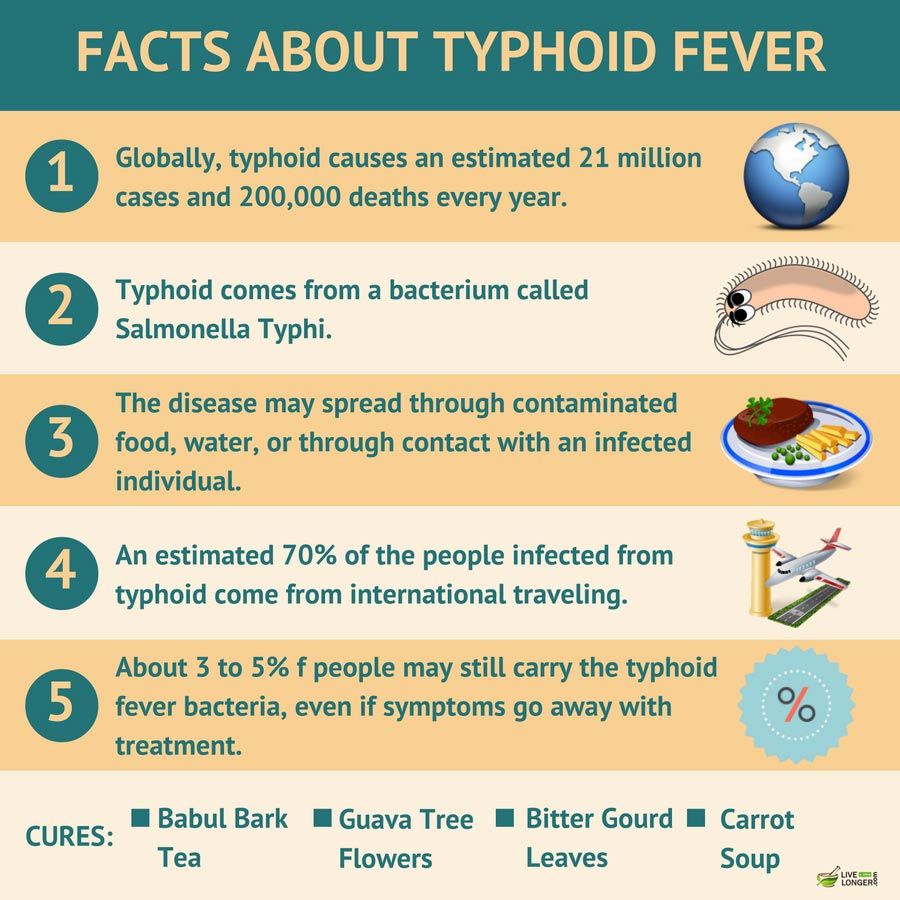 10 Best Home Remedies For Typhoid Fever | Typhoid fever, Medical ...