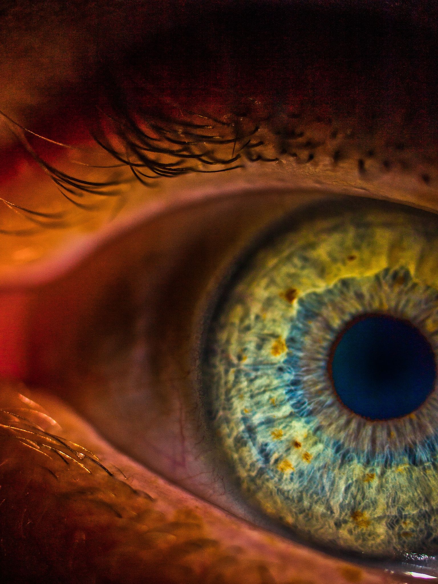 HDR Macro EYE | Macro, Panoramic images, Hdr