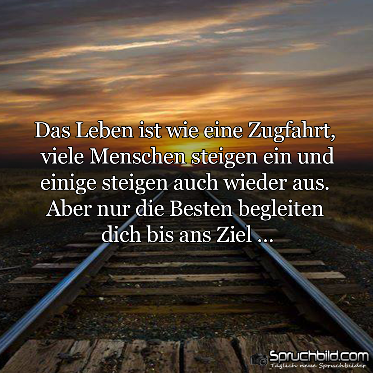 C73dfe6c630edb4c1692db67c510f65c Jpg 1200 1200 Schone Spruche Zitate Sinnlose Spruche Zugfahrt