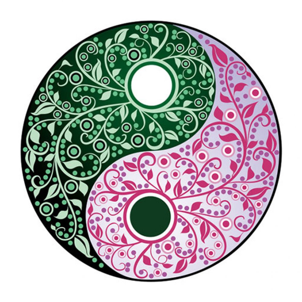 Yin Yang - Everything About Yin Yang & Taoism dreamcatchersale.com Ying ...