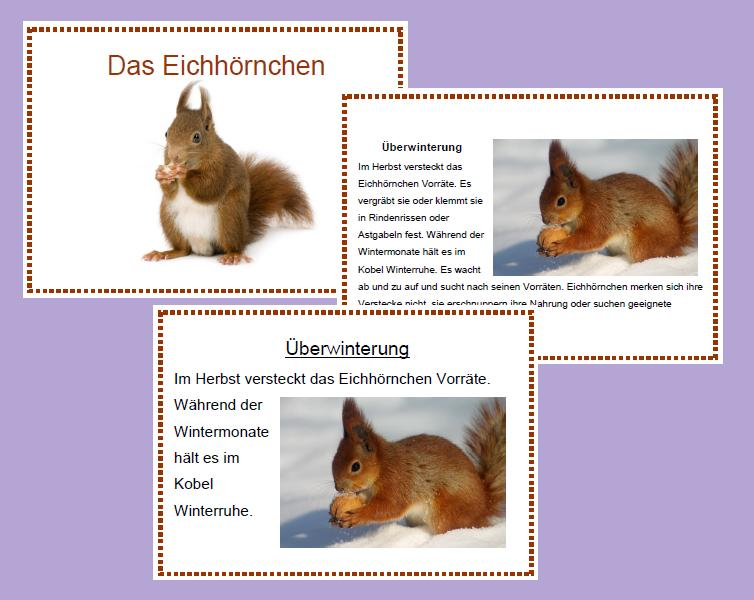 Das Eichhörnchen - Kartei (leicht und schwierig) – Unterrichtsmaterial im Fach Sachunterricht